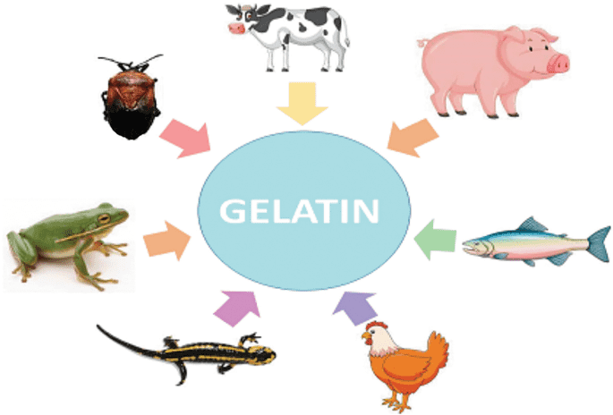 Choose your gelatin source